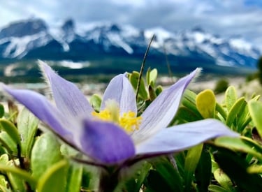 Spring Hiking in Canmore Kananaskis - Trails To Add To Your Hit List 2