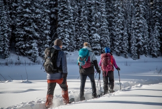 What to Bring on a Winter Hike or Snowshoe Trip