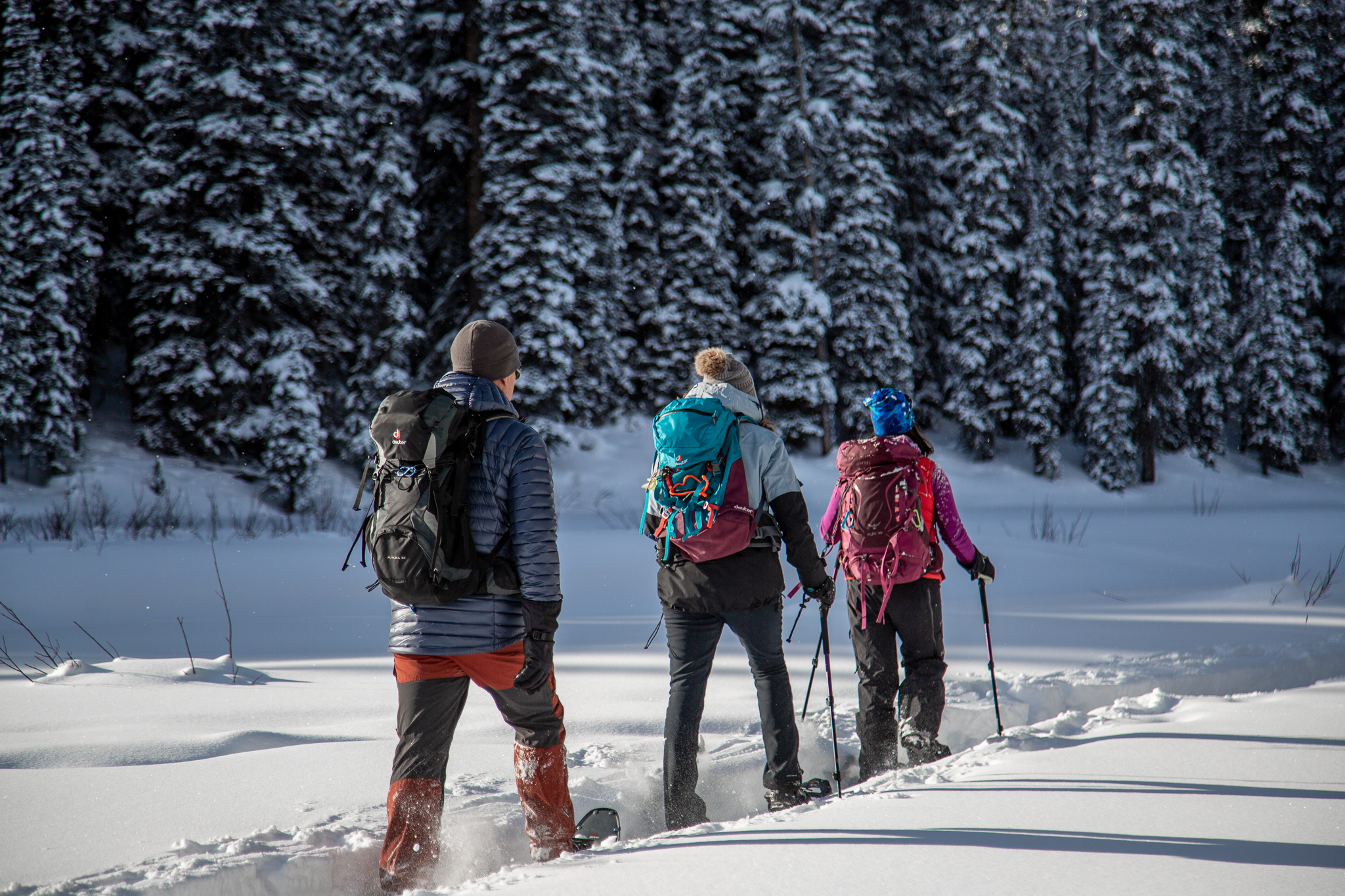 https://www.explorecanmore.ca/content/uploads/2023/10/discover-snowshoeing-and-winter-hiking-in-canmore-and-kananaskis.jpg