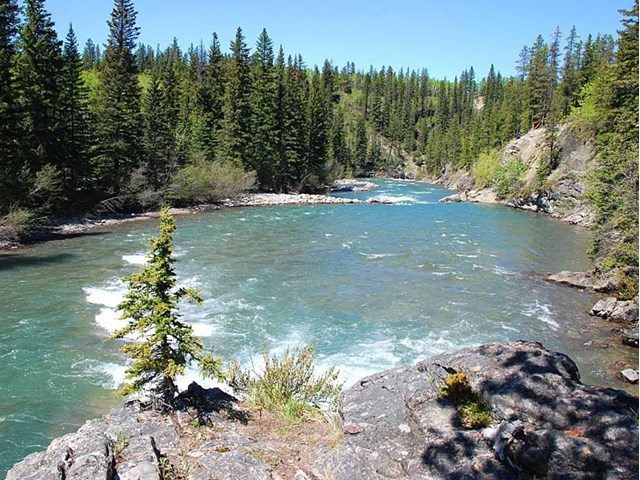 Bow Valley Campground Canmore Kananaskis 3693