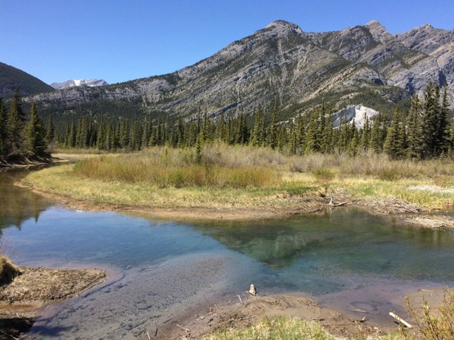 Willow Rock Campground | Canmore Kananaskis